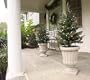 Set of 2 Battery Operated Lighted LED 16" Walkway Trees - Multi Lights