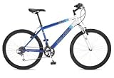 Review Raleigh  / Explore Mt20 Mens 20/26