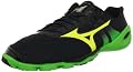 Mizuno Men's Wave EVO Levitas Running Shoe