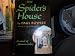 The Spider's House