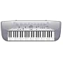 CASIO CTK-230 PORTABLE KEYBOARD - 49 Full-Size Starter Keyboard