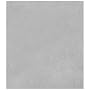 Interfit INT240 Small 8 Feet x 9 Feet Background Cloth (Grey)