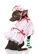 3PC Strawberry Shortcake Cute Dog Holiday Pet Costume