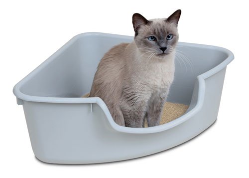 Smart Cat 3852 Corner Litter Box - Pink - Case of 5