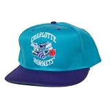 Vintage Charlotte Hornets Snap Back Hat Cap - Turquiose / Purple