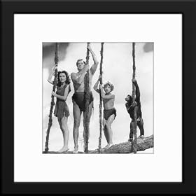 Tarzan Custom Framed And Matted Photo (Johnny Weissmuller Johnny Sheffield Maureen...