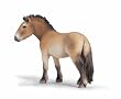 Schleich Przewalski Horse 13620