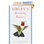 Sibley's Birding Basics