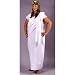 Toga! Toga ! Costume Plus size