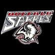 Buffalo Sabres Enameled Pewter Team Design Pin - NHL Hockey Fan Shop Sports Team Merchandise