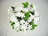 Review GT Decorations  / 28cm Artificial Silk Flower Stephanotis Ivy Lily of Valley Bush from GT Decorations