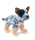 Clanger Australian Cattledog 8