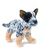 Clanger Australian Cattledog 8
