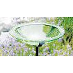 Glass Bird Bath Bowl Iron Light Green