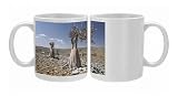Bottle-tree (desert rose) (adenium obesum) endemic to island, Diksam Plateau, Photo Mugs