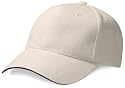Beechfield Pro-style heavy brushed cotton cap (9 colours)