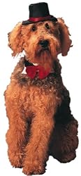 Daper Dog Red Tuxedo Bow Tie Collar & Top Hat