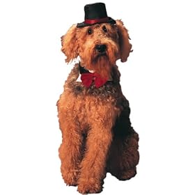 Daper Dog Red Tuxedo Bow Tie Collar & Top Hat