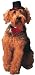 Daper Dog Red Tuxedo Bow Tie Collar & Top Hat