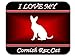 I Love My