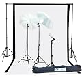 Fancierstudio 1000watt Lighting Kit Black White Muslin Backdrop and background stand kit By Fancierstudio K105BW