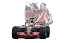 Unique Lewis Hamilton Artist Signed Canvas Print 16 x 24 inches