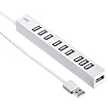 SANWA SUPPLY USB-HUB256W ���Εt��10�|�[�gUSB2.0�n�u(�z���C�g)