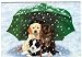 Labrador Shepherd and Border Collie Pups Christmas Cards