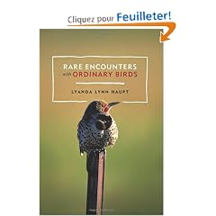 Rare Encounters With Ordinary Birds