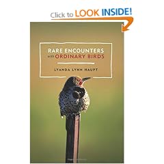 Rare Encounters With Ordinary Birds