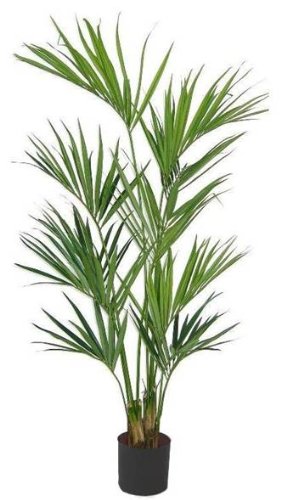 Kettler Kentia Artificial Palm with 192 Leaves, 1-Per Pack,6-1/2-Feet Tall