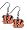 Cincinnati Bengals