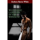 Watching Lawyers in the Window