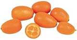 Frieda's Fresh Kumquats (2 Lbs)