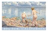 Naked Ladies Bathing, Big Sur, California MasterPoster Print, 18x12