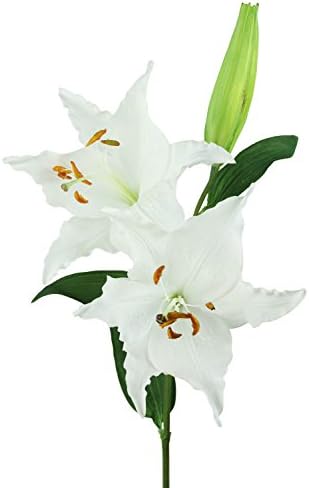 Laura Cole Cherry Blossom Silk Flower Stems, 30-Inch, White, Set of 6