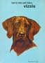 Vizslas (How to Raise & Train)