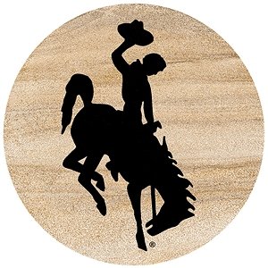 Thirstystone Natural Sandstone Set of 4 Coasters University of Wyoming