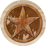 Set of 4 Sandstone Coasters - Texas Lone Star
