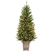 Pre-Lit Barcelona Potted Tree - 6'