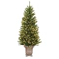 Pre-Lit Barcelona Potted Tree - 6'