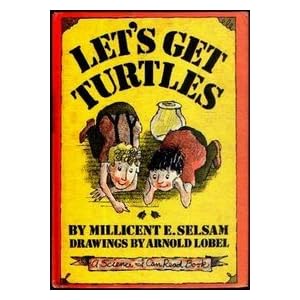 Let's Get Turtles