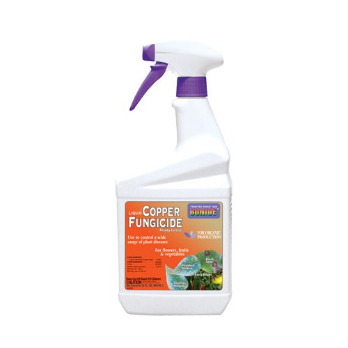 BONIDE PRODUCTS 775 ReadytoUse Copper Fungicide, 32Ounce , New, Free