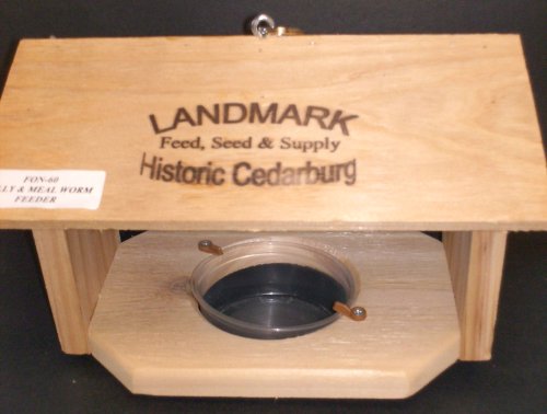 Jelly/ Mealworm Feeder