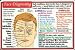 Health & Personal Care : Helion Communications - Face Diagnosis - Wallet Cards