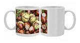 BB-733 Horse Chestnut - Conkers Photo Mugs