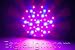Hydroponic Grow Light Red-Blue PAR38 LED Vegging Grow Light
