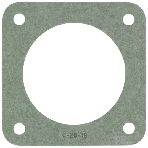 Pentair C2019 Flange Gasket Replacement StaRite