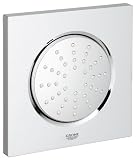 Grohe 27251000 Rainshower F-Series 5"" Seitenbrause
