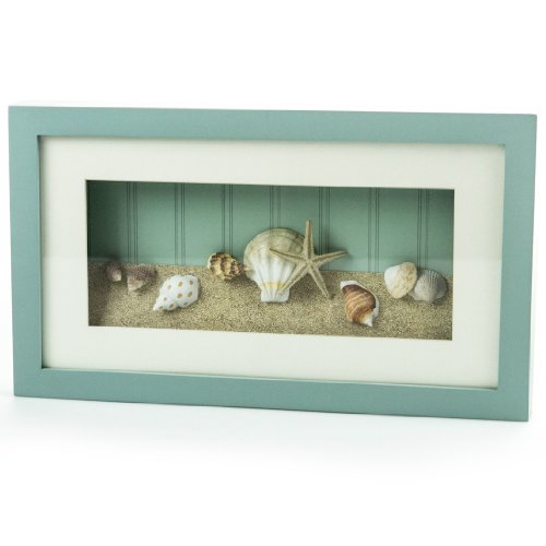 Shell Shadow Box Wall Decor